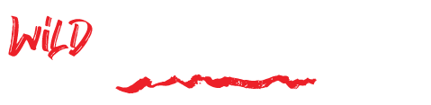 Wild Marketing Digital